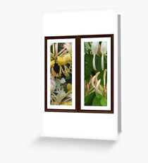 HoneySuckles Greeting Card