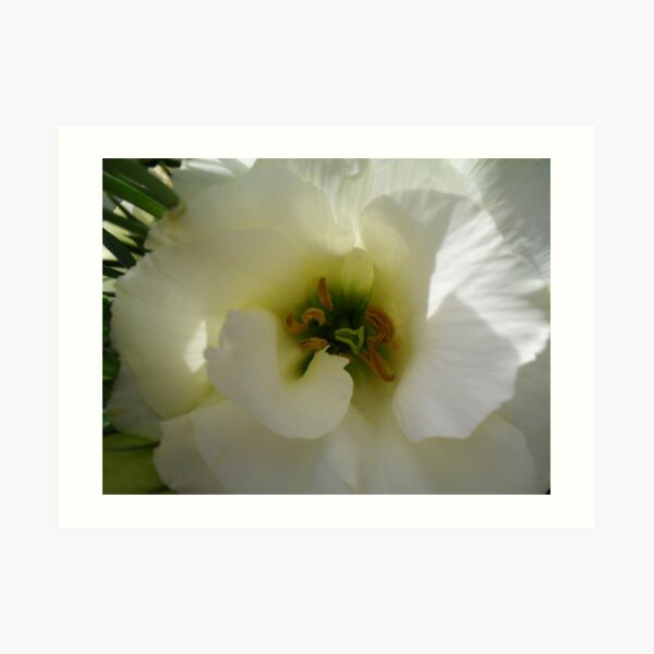 Different Shades of White Art Print