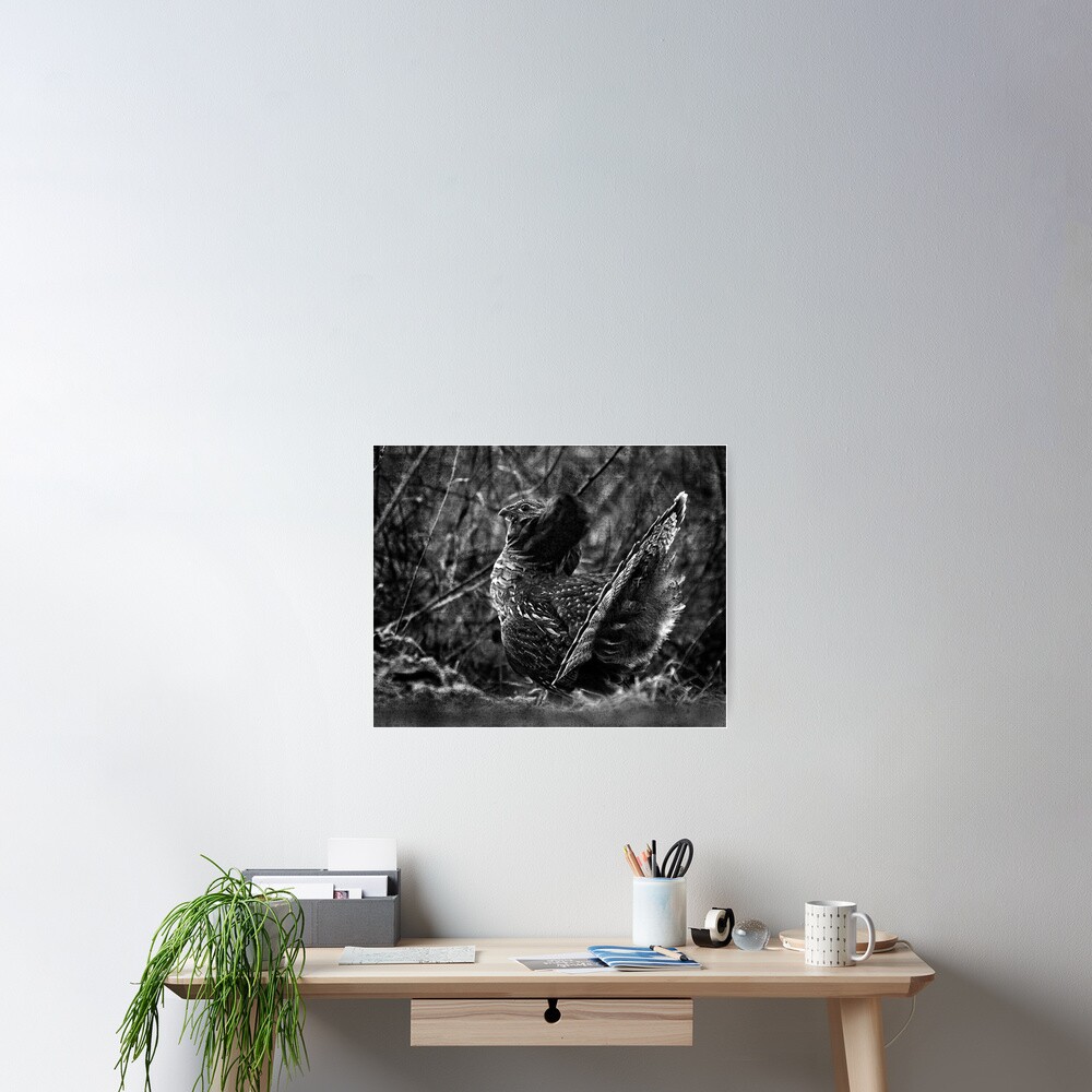 Deep in the Aspen Wood (b&w) Poster