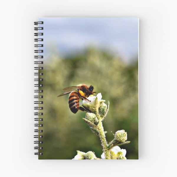 Item preview, Bee on Flower designed and sold by Jackson Killion.