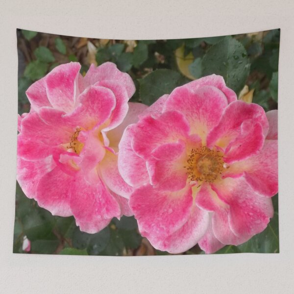 Item preview, PINK ROSES designed and sold by Frogmuse.