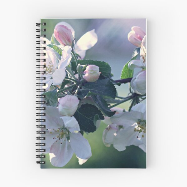 Item preview, Apple tree flowers designed and sold by Forestpictures.