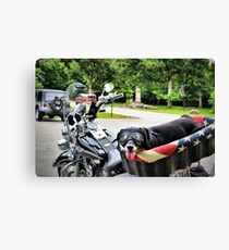 Easy Rider Canvas Print