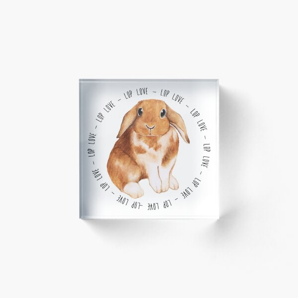 Bunny Lop Love Acrylic Block