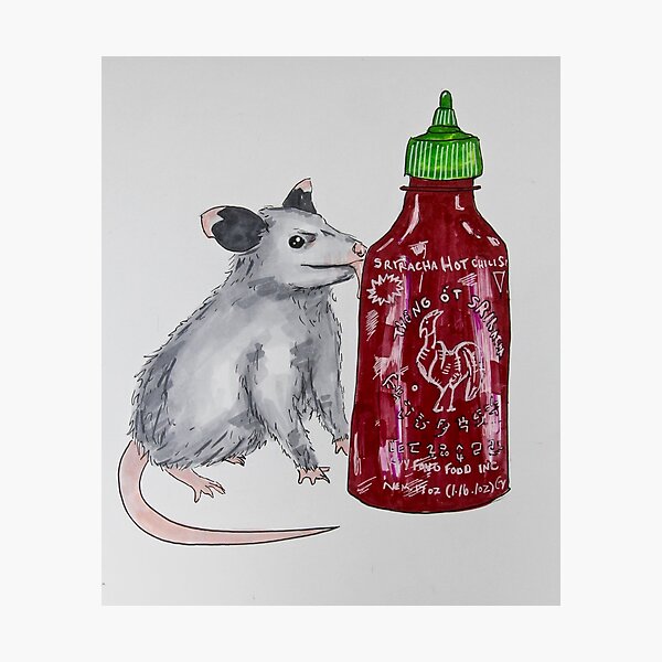 Sriracha Possum Photographic Print