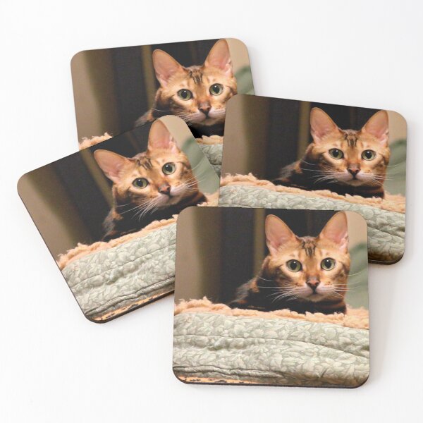 Item preview, Did You Knock? designed and sold by Michael May.