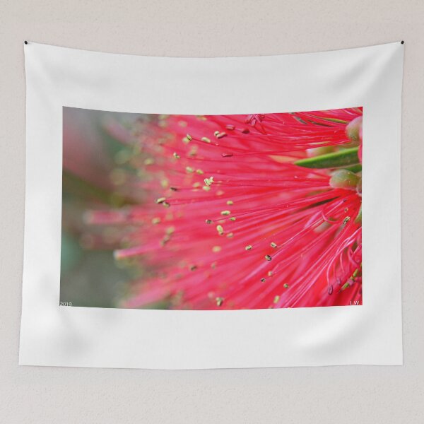 Item preview, Bottlebrush Macro2 designed and sold by LisaWootenPhoto.