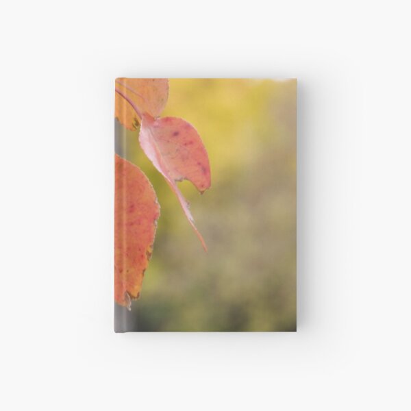 Orange Leaf Hardcover Journal