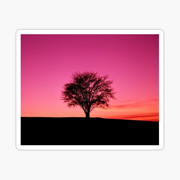 Item preview, Solo Tree on Cape Cod Hill designed and sold by RachelAlbang.