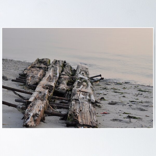 Item preview, Driftwood, yes...but from what? designed and sold by Corkle.