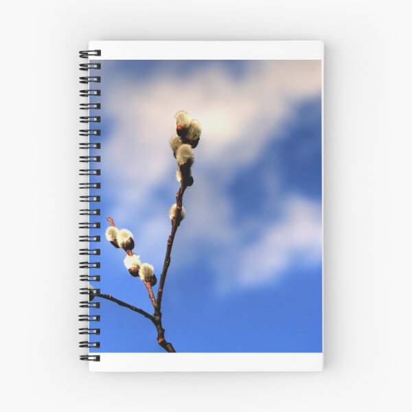 Item preview, Catkins designed and sold by Larry Trupp.