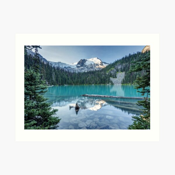 Natural Beautiful British Columbia Art Print