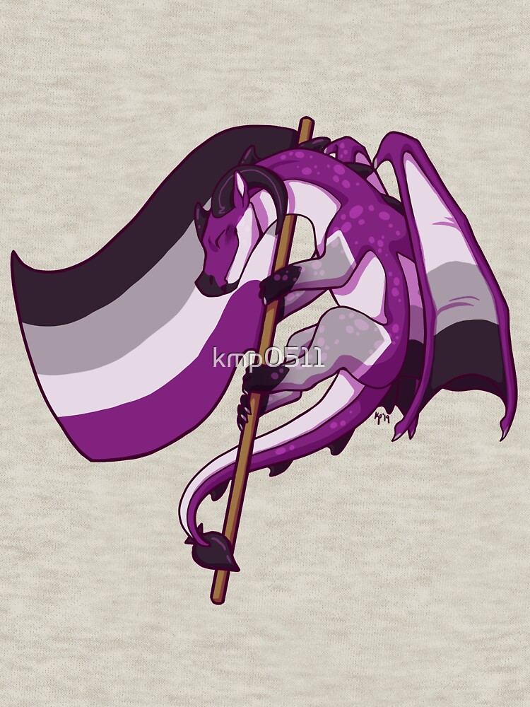 Asexual Pride Flag Dragon 3rd Edition Pullover Hoodie By Kmp0511