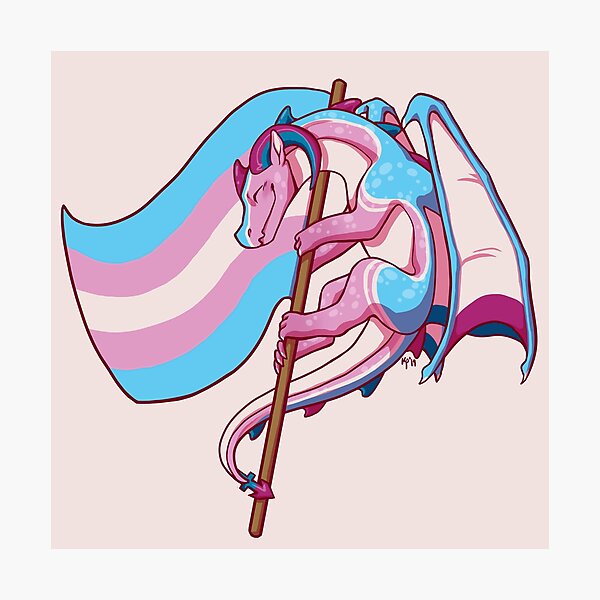 Transgender Pride Flag Dragon 3rd Edition Photographic Print By