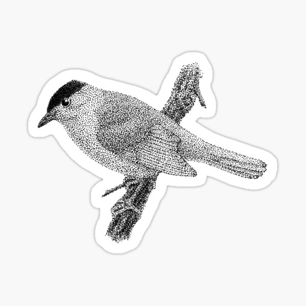 Stippled Eurasian Blackcap Sticker