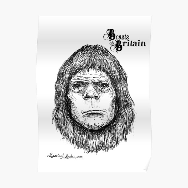 BOB - The Box Hill Ape Poster