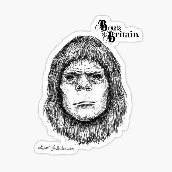 BOB - The Box Hill Ape Sticker