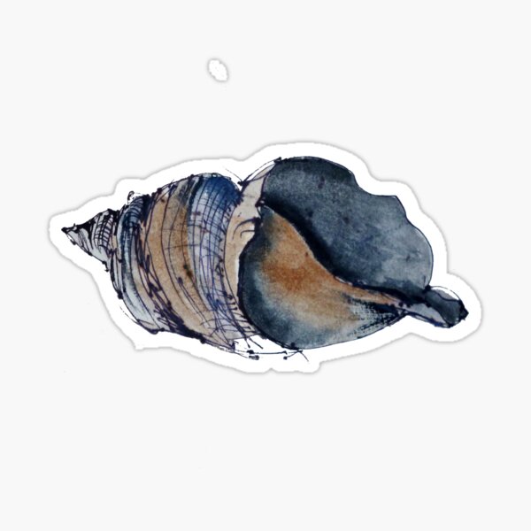 Shell study Sticker