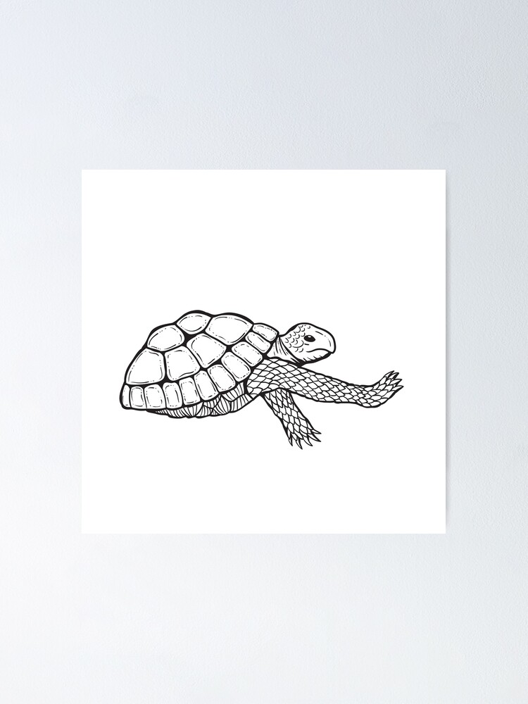 Tortoise Pose | Bobby Clennell