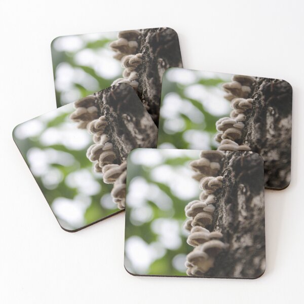 Item preview, Daydreaming in the forest designed and sold by DevotedByNature.