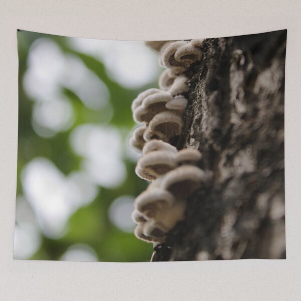 Item preview, Daydreaming in the forest designed and sold by DevotedByNature.