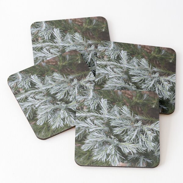 Item preview, Winter Plant designed and sold by eagleray.