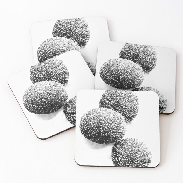 Item preview, Sea Urchin's  designed and sold by Diane Arndt.