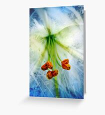Abstract Lily Greeting Card