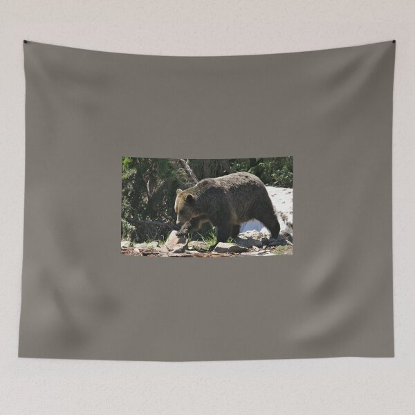 Item preview, Grizzly Bear on the Mountain... designed and sold by RichImage.
