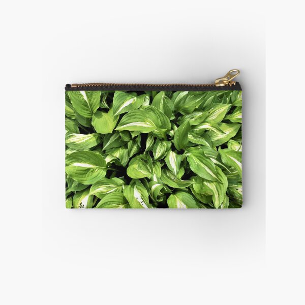 Aperçu de l'œuvre Hosta être belle créée et vendue par DonnaM.