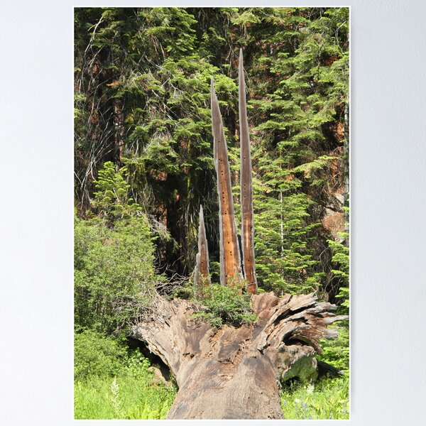 Item preview, Fallen Giant designed and sold by dgoldman.