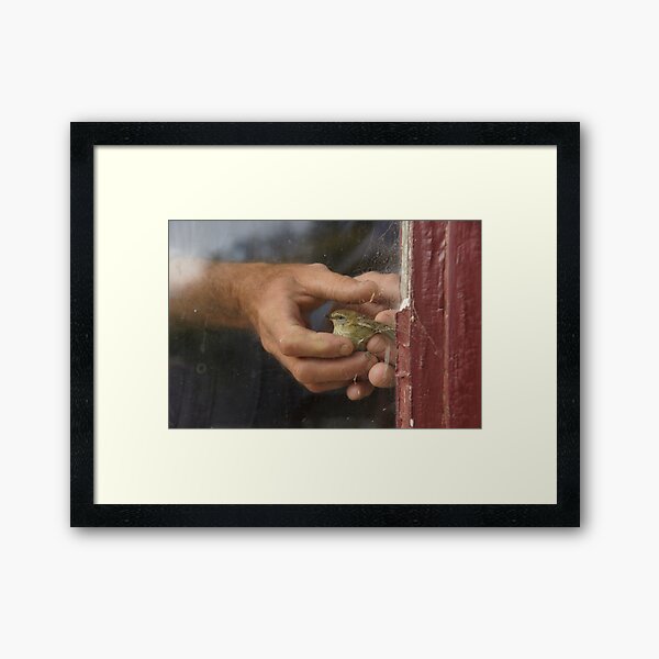 Two in the Bush - Adelaide Hills Wine Region - Fleurieu Peninsula - by South Australian artist Avril Thomas Framed Art Print