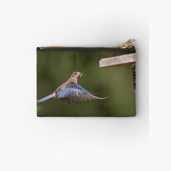 Item preview, Strange Bluebird Activity designed and sold by Bonnie T.  Barry.