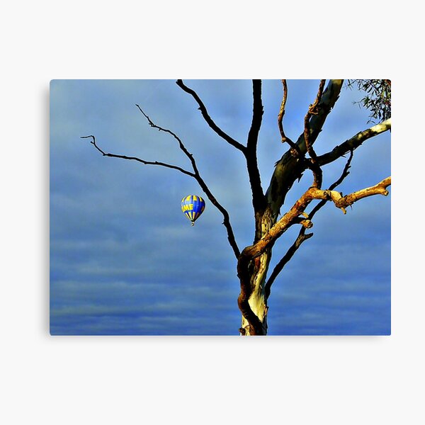 Barely A Tree Canvas Print