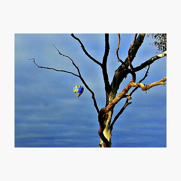Barely A Tree Photographic Print
