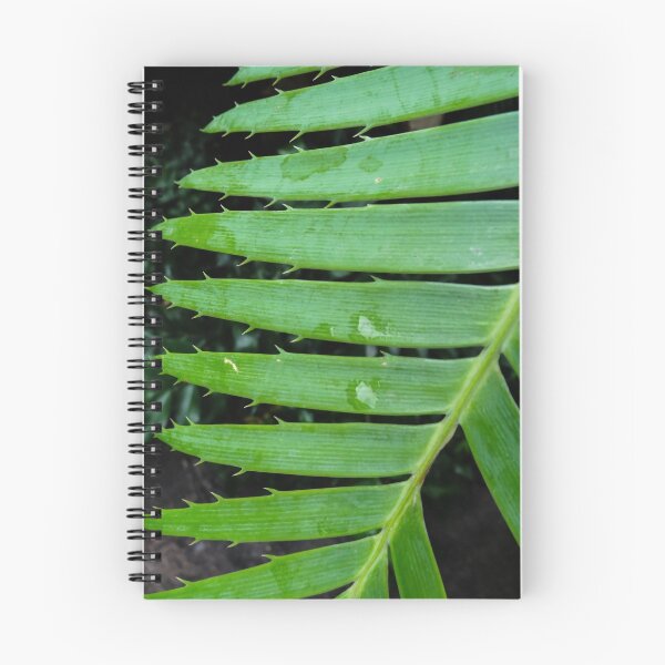 Item preview, sharp edges designed and sold by CP-photography.
