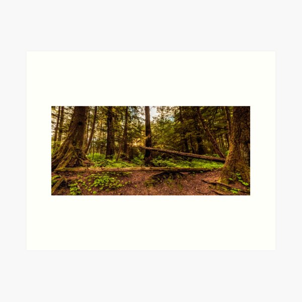 Item preview, Sitka Forest designed and sold by Alexander Hamm.