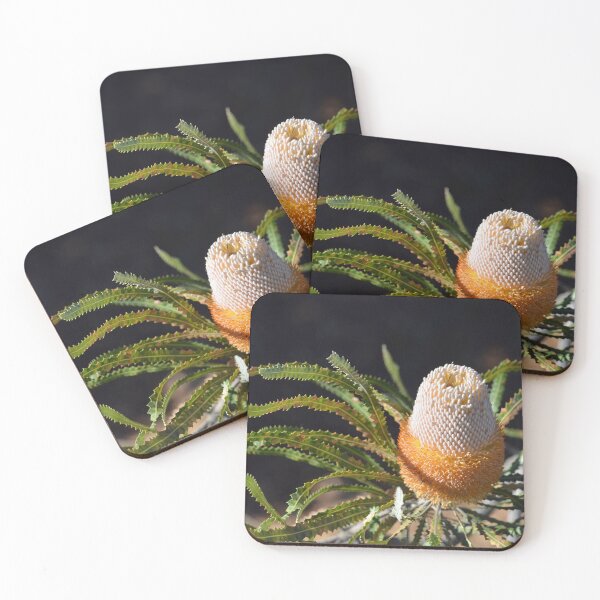 Item preview, Acorn Banksia designed and sold by Cloudlingpics.