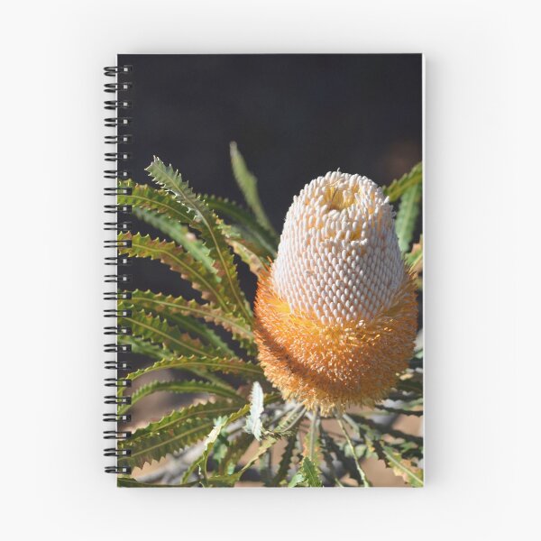 Item preview, Acorn Banksia designed and sold by Cloudlingpics.