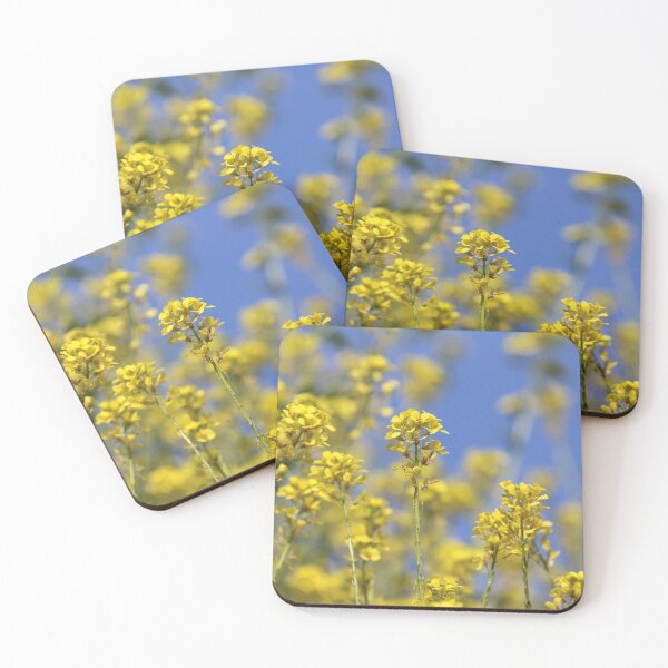 Item preview, Bright yellow flowers of Field mustard with blue sky designed and sold by Imladris01.