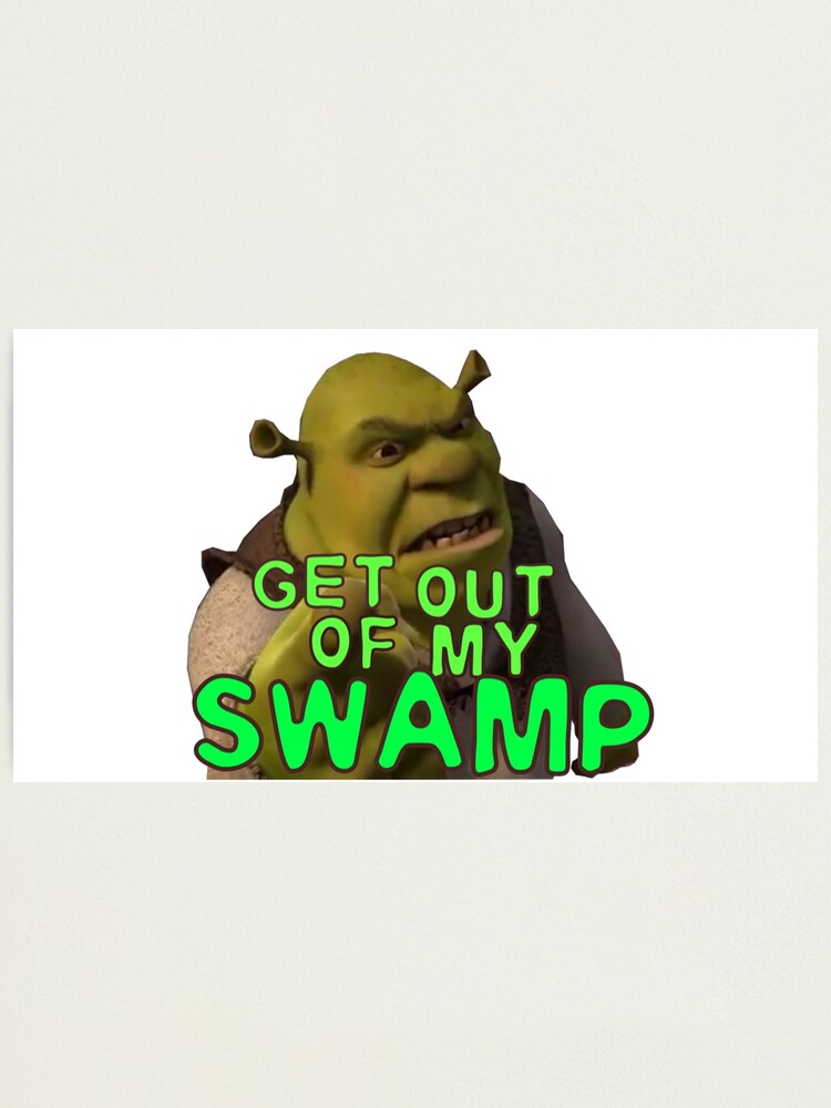 Shrek Get Out of My Swamp Meme Funny Wall Tapestry