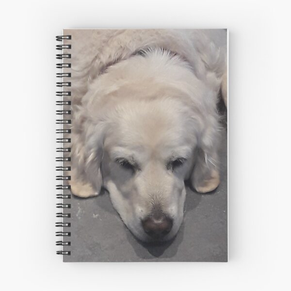 Item preview, Reggie takes a nap designed and sold by Janis Read-Walters.