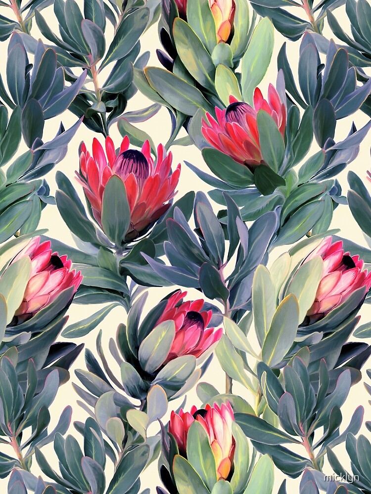Painted Protea Pattern by micklyn