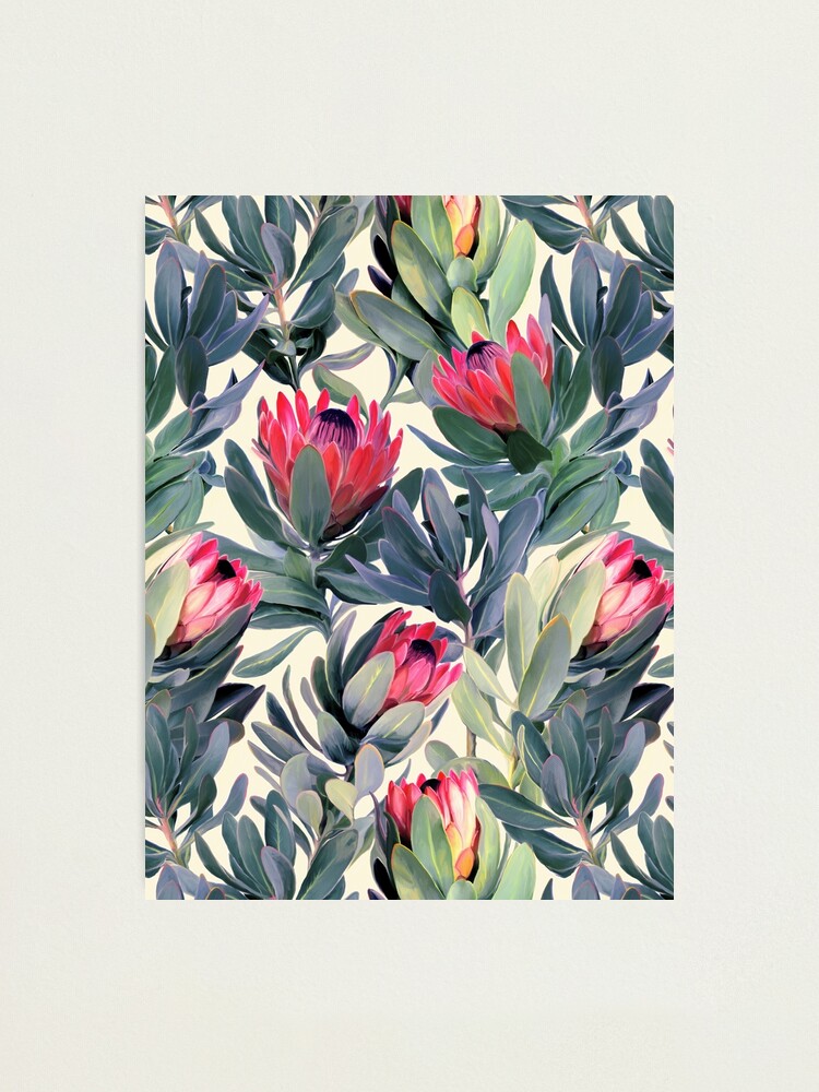 Alternate view of Painted Protea Pattern Photographic Print