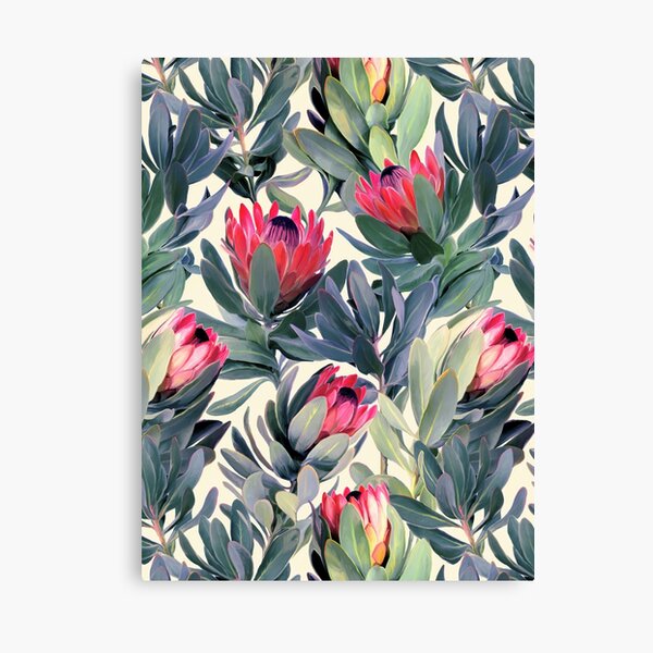 Painted Protea Pattern Canvas Print