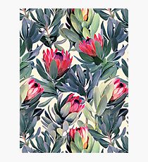 Gemaltes Protea-Muster Fotodruck