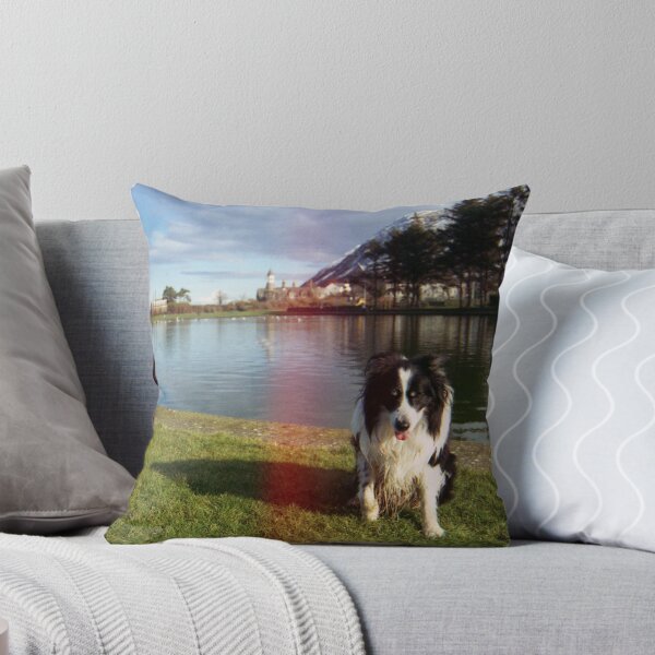 Item preview, Indy and Rob reunited at Rainbow Bridge. designed and sold by Michael Haslam.