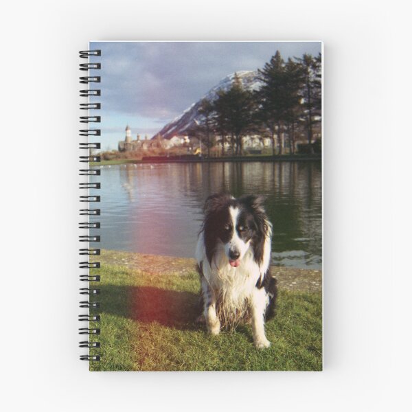 Item preview, Indy and Rob reunited at Rainbow Bridge. designed and sold by Michael Haslam.