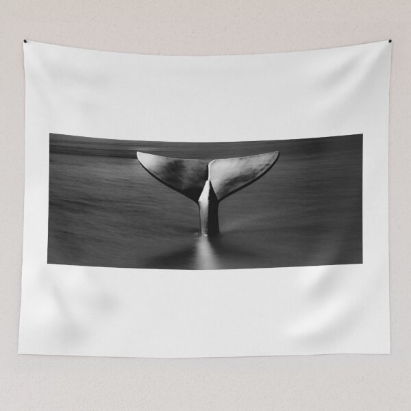 Item preview, Goin 'Down Slow designed and sold by DiFigianoPhoto.