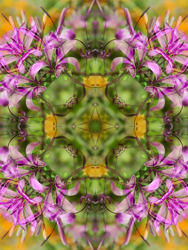 NEPALI WILDFLOWERS 2 by JeffBossler